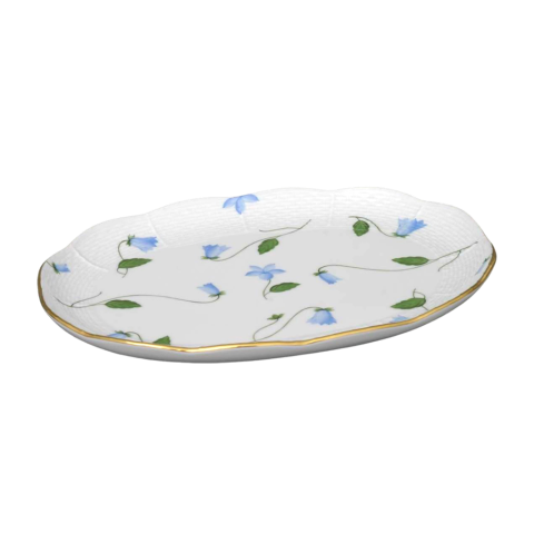 Dish
