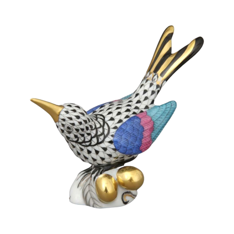 Kolibri