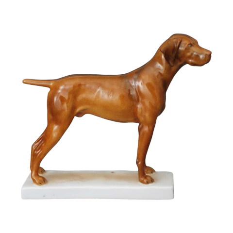 Magyar vizsla